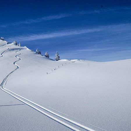 Berghotel Hahnenmoos Adelboden Exteriér fotografie